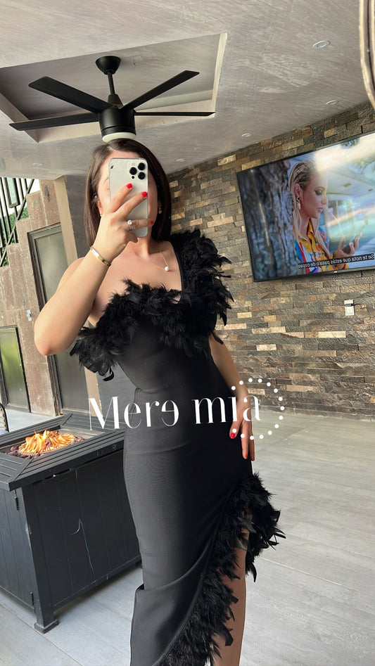 BLACK FEATHERS DRESS